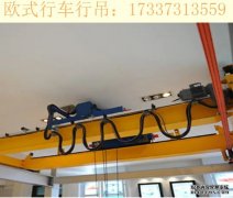广东汕尾欧式行吊厂家 欧式和传动起重机的区别