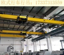 广东阳江欧式行吊厂家 欧式和中式起重机的区别