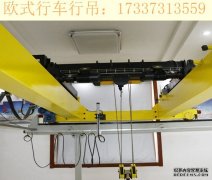 广东揭阳欧式行吊厂家 欧式起重机的结构特点