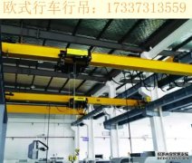 广东江门欧式行吊厂家分析欧式起重机的优势