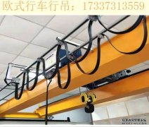 广东惠州欧式行吊厂家 欧式电动葫芦的操作方法